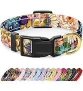Adjustable and Reflective Dog Collar for Medium Dogs — collection imagery