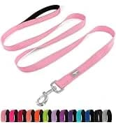 Reflective Dog Collar — Adjustable Nylon for Medium Dogs — collection imagery