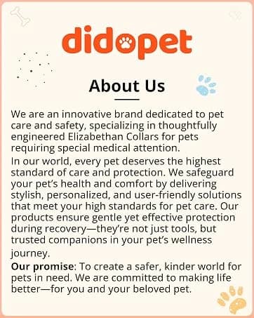 Dog Cone to Stop Licking — Clear Recovery Collar with Detachable Zipper — collection imagery