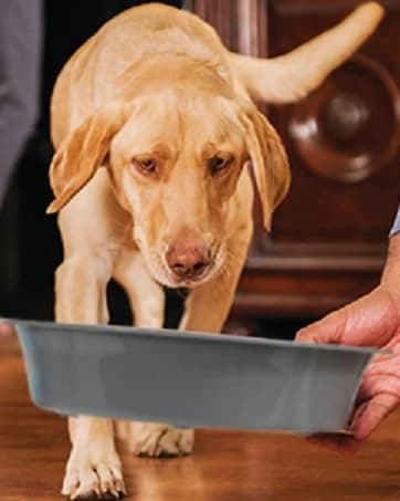 Dog Slow Feeder - Reduce Slip Puzzle Bowl for Raised Pet Feeders - Interactive Bloat Stop Elevated Diners — collection imagery