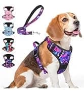 Dog Leash for Large Dogs — 5FT Heavy Duty Rope Leash Bulk — collection imagery