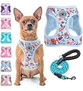 Dog Leash for Large Dogs — 5FT Heavy Duty Rope Leash Bulk — collection imagery