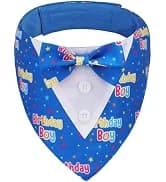 Dog Tuxedo Bandana — Wedding Birthday Dog Bow Tie — collection imagery