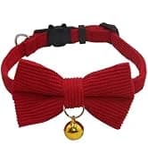 Leather Cat Collar with Bell Breakaway- Adjustable — collection imagery