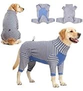 Tactical Dog Harness for Large Dogs — collection imagery