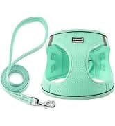 2 Pack Dog Leash — Heavy Duty Nylon Rope Pet Leashes — collection imagery