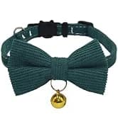 Leather Cat Collar with Bell Breakaway- Adjustable — collection imagery