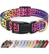 Adjustable and Reflective Dog Collar for Medium Dogs — collection imagery
