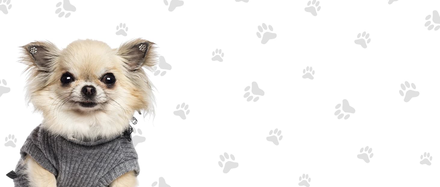 Reusable Puppy Pads — Washable Pee Pads — collection imagery