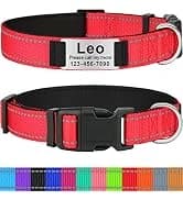 Rope Dog Leash for Medium and Large Dogs — collection imagery