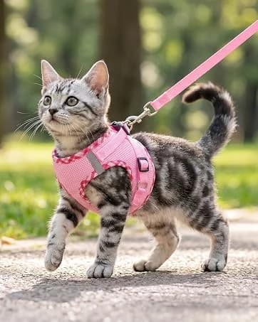 Pink Bow Cat Harness and Leash Set — Escape Proof — collection imagery
