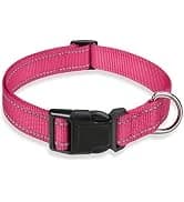 2 Pack Dog Leash — Heavy Duty Nylon Rope Pet Leashes — collection imagery