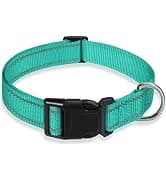2 Pack Dog Leash — Heavy Duty Nylon Rope Pet Leashes — collection imagery