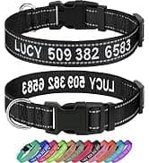 Rope Dog Leash for Medium and Large Dogs — collection imagery