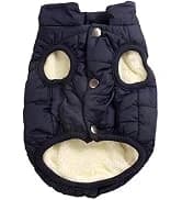 Fleece Dog Jacket for Small Dogs — collection imagery