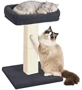 Cat Scratching Post for Indoor Cats — 32Inch Sisal Cat Scratcher — collection imagery