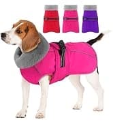 Dog Winter Coat with Harness — collection imagery