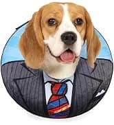 Dog Leash for Large Dogs — 5FT Heavy Duty Rope Leash Bulk — collection imagery