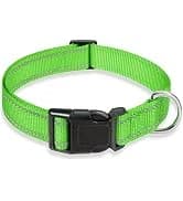 Reflective Dog Collar — Puppy Collar with Buckle Adjustable — collection imagery