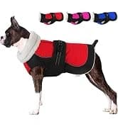Dog Winter Coat with Harness — collection imagery