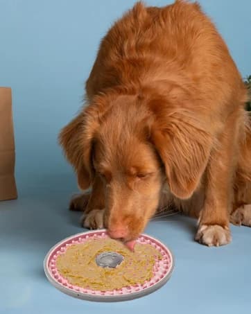 Lick Mat for Dogs Crate Lick Pad Slow Feeder for Crate Training — collection imagery