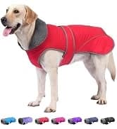 Dog Winter Coat with Harness — collection imagery