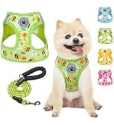 Dog Leash for Large Dogs — 5FT Heavy Duty Rope Leash Bulk — collection imagery