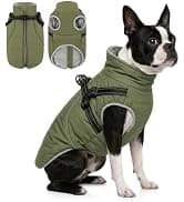 Reversible Dog Winter Coat — Dog Jacket for Small — collection imagery