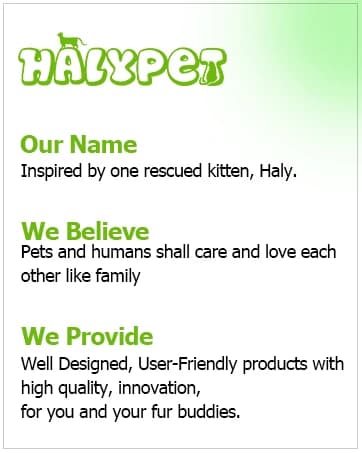 Cat Harness and Leash Set — Escape Proof Cat Harnesses — collection imagery