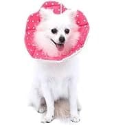 Adjustable Dog and Cat Cone — Soft Recovery Cat Cone Collar — collection imagery