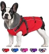 Dog Winter Coat with Harness — collection imagery