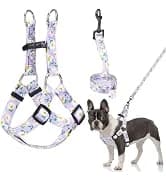 Dog Leash for Large Dogs — 5FT Heavy Duty Rope Leash Bulk — collection imagery