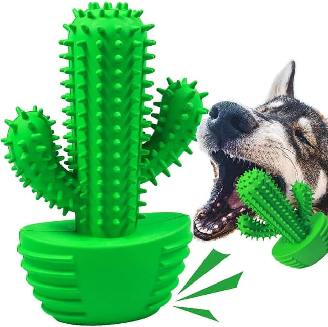 Cactus Dog Chew Toy for Aggressive Chewers