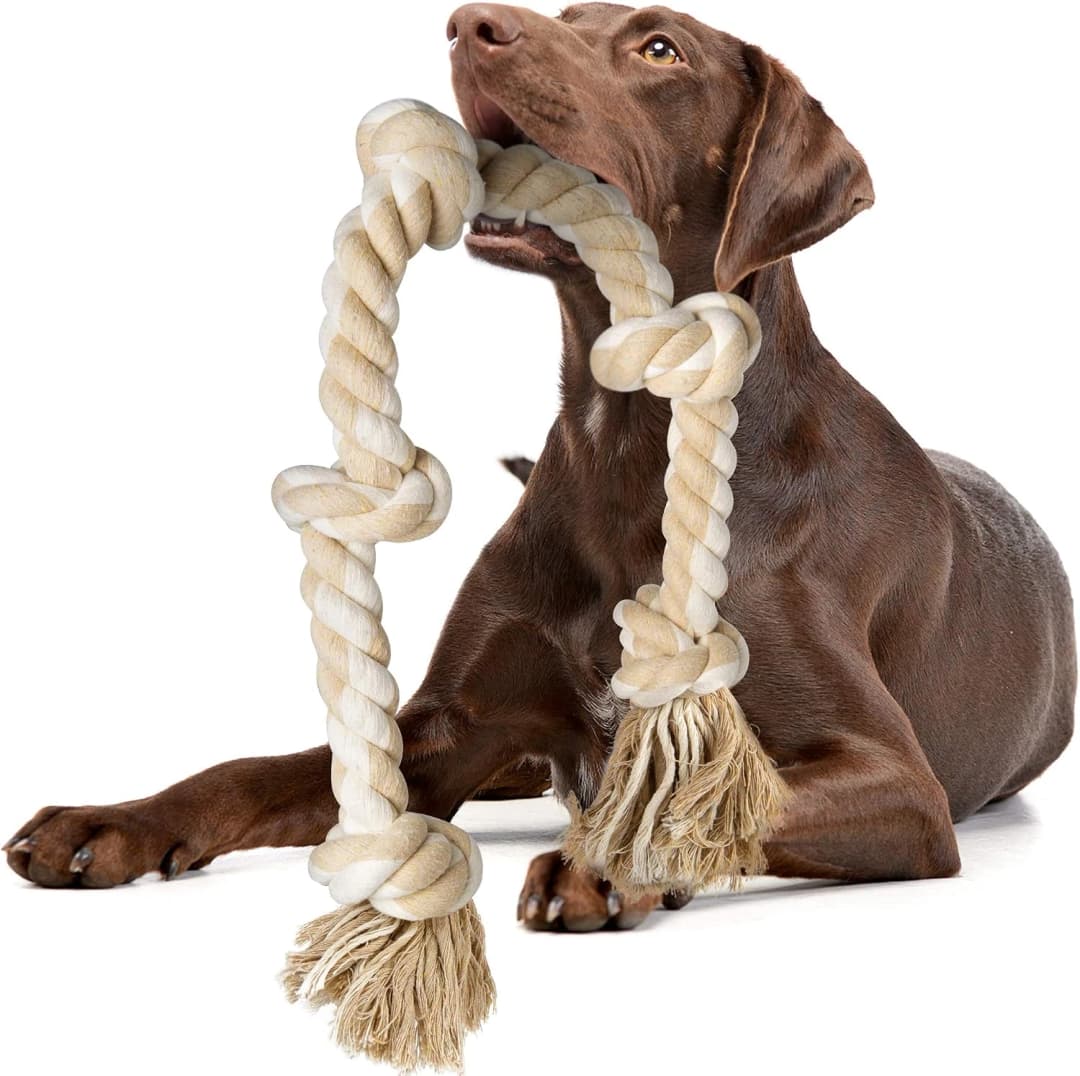 Dog Rope Toys for Aggressive Chewers — Chew Toys for Large Medium Dogs — White-5 knots / Large