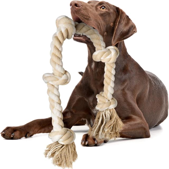 Dog Rope Toys for Aggressive Chewers — Chew Toys for Large Medium Dogs