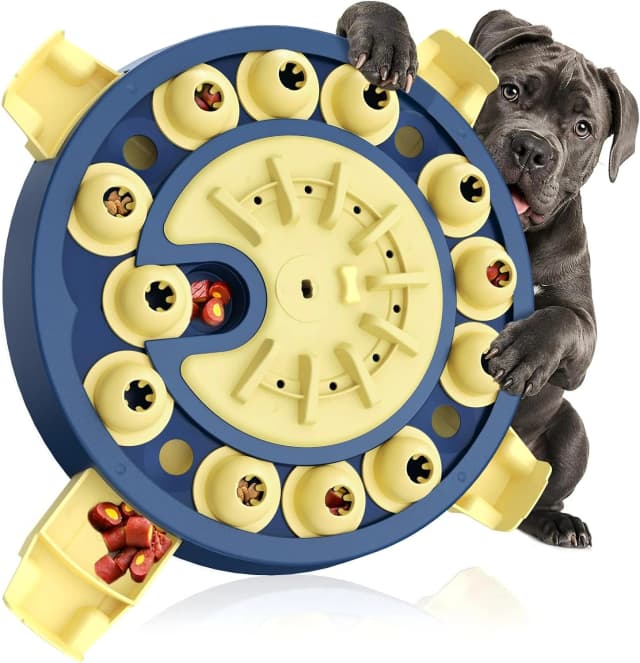 Large 3 Levels — Dog Puzzle Toy