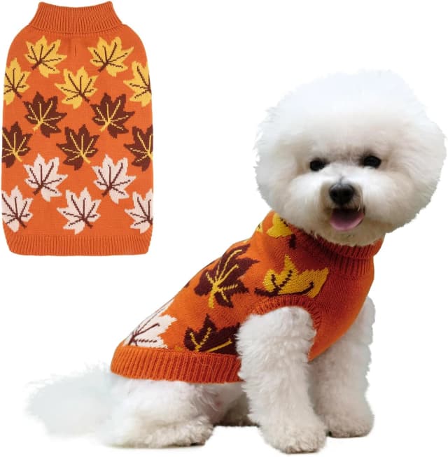 Small Dog Sweater — Fall Dog Sweater with Autumn Maple Leaf Pattern