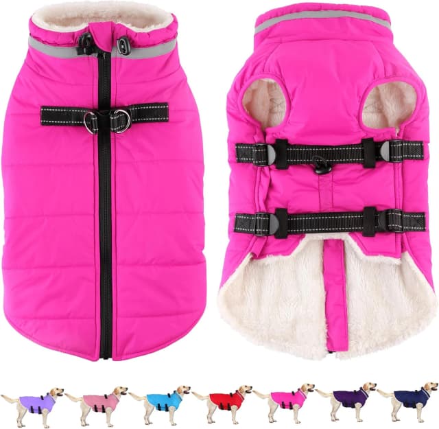 Dog Winter Coat with Harness