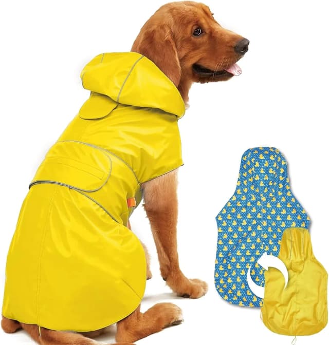 Dog Raincoat Waterproof Dog Rain Jacket for Small to 3X-Large Dogs — M