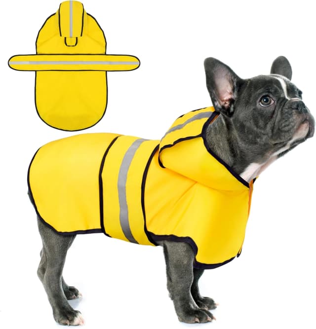 Dog Raincoat: Hooded Slicker Poncho