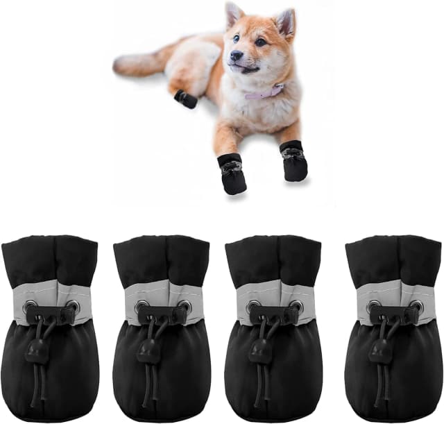 Dog Shoes for Small Dogs — Puppy Boots and Paw Protectors