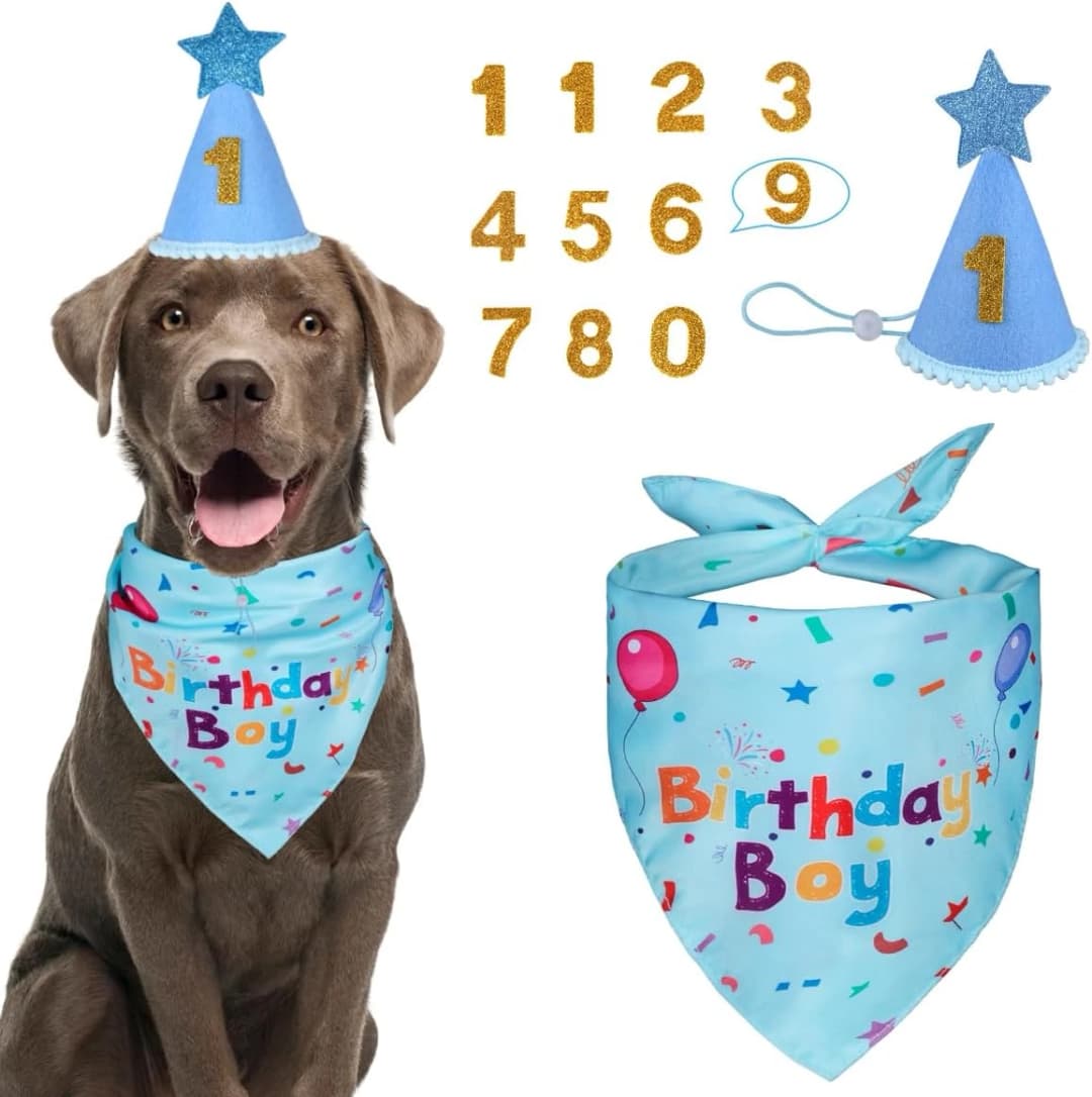Dog Birthday Party Supplies — Dog Birthday Bandana — Blue / Large