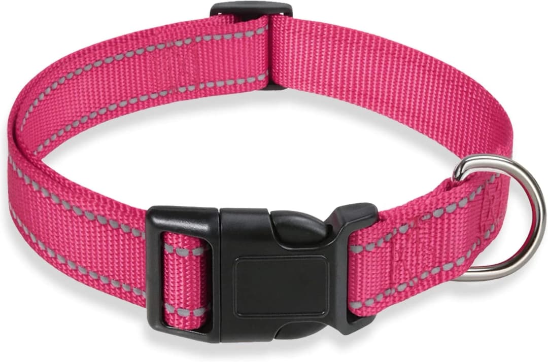 Reflective Dog Collar — Puppy Collar with Buckle Adjustable — Hotpink / Small:Width 5/8",Neck 10-14"