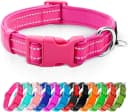 Reflective Dog Collar — Neoprene Padded Small Dog Collar — Small (Pack of 1) / Hot Pink