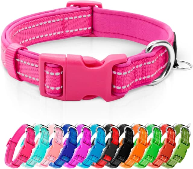 Reflective Dog Collar — Neoprene Padded Small Dog Collar