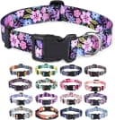 Dog Collar for Medium Dogs — Fashion Design — M (Neck 12.9-21.6", Width 3/4") / Floral Pink