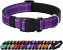 Reflective Dog Collar — Adjustable Nylon for Medium Dogs — Purple / M:width 3/4"neck 14-20.5"