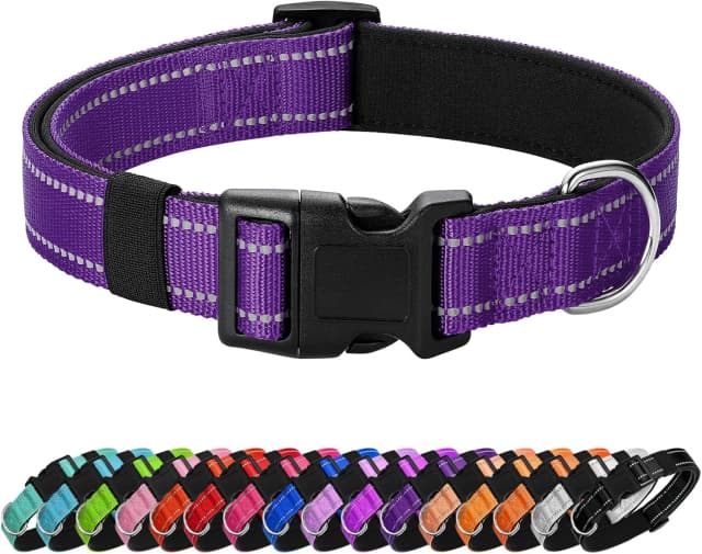 Reflective Dog Collar — Adjustable Nylon for Medium Dogs