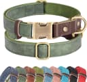 PU Leather Dog Collar for Medium Dogs — Soft Nylon Lining — Green / M: Neck 14-19", Width ¾"