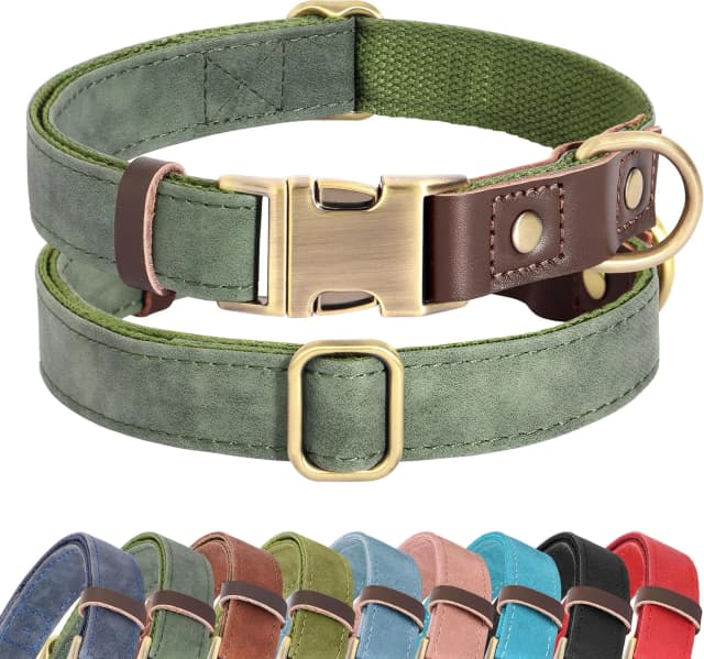 PU Leather Dog Collar for Medium Dogs — Soft Nylon Lining